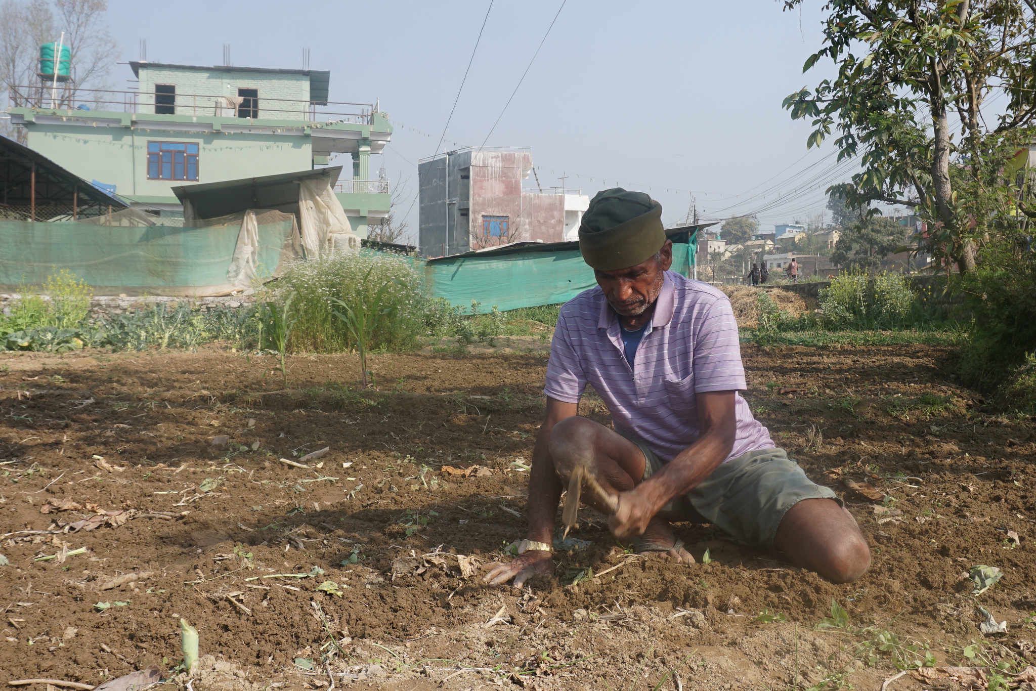 Land Is the New Cash Crop in an Urbanizing Section of Nepal