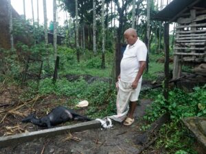 Dead Goats. Dead Cattle. And the Weed That’s to Blame.