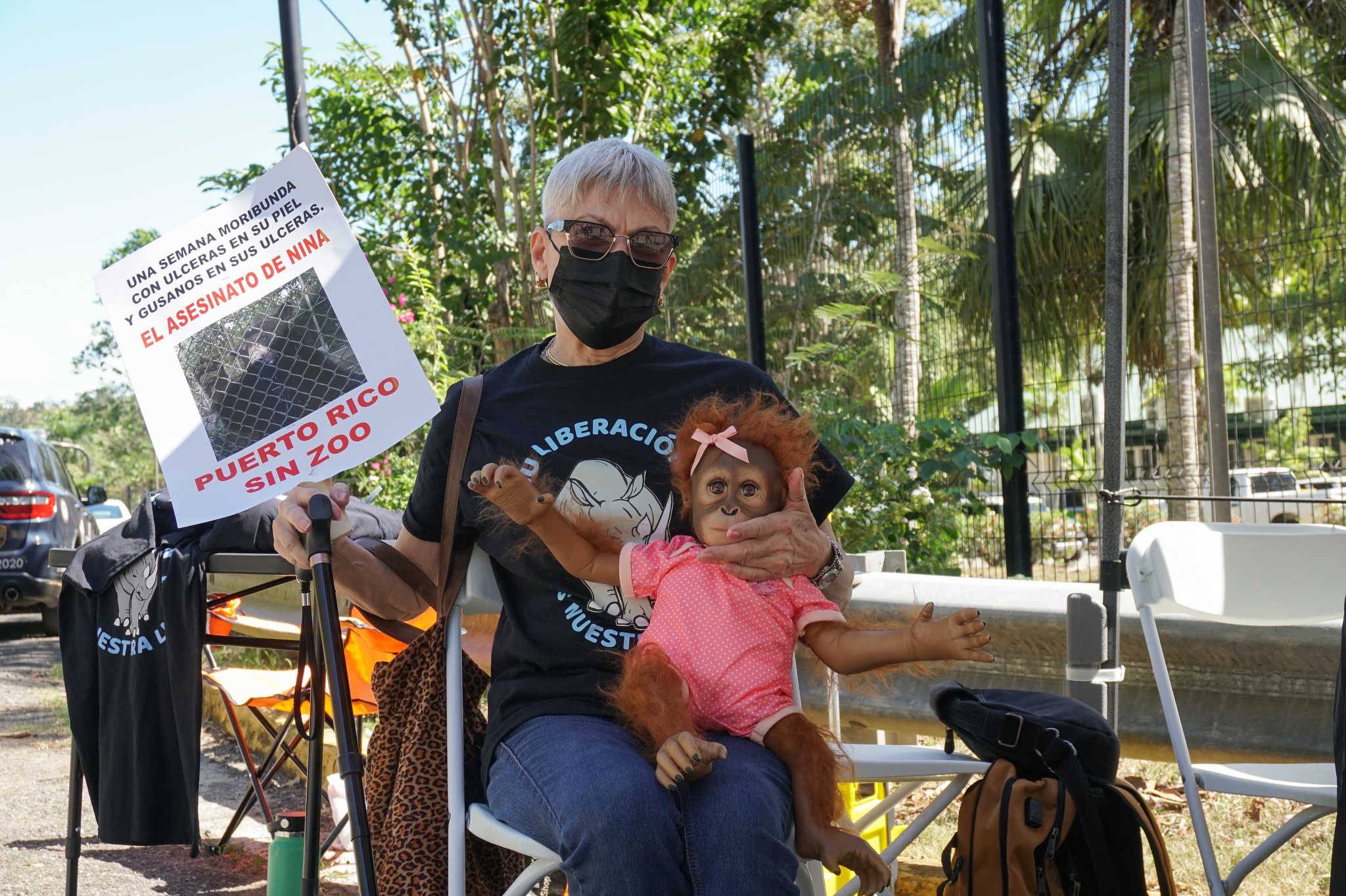 Iconic Elephant Says Goodbye to Infamous Puerto Rican Zoo