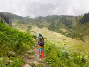 Smuggling Threatens Survival of Medicinal Plants In Kashmir but Provides Income for Poor Villagers