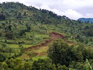 Hundreds of Ugandans Still Homeless After Devastating Mudslide