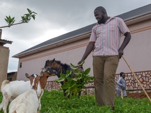 Traditional Healers Don’t Want Their Herbs Regulated, Citing Risk to Intellectual Property