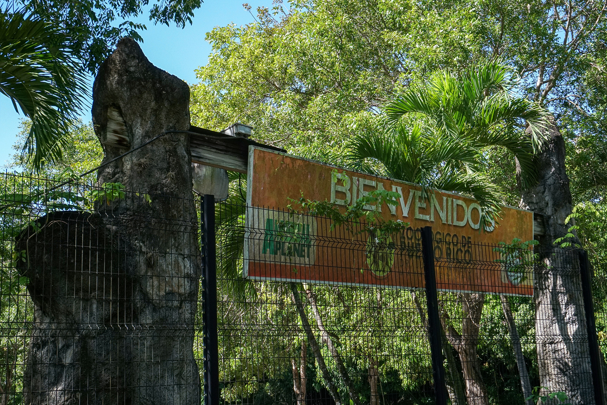 Once-Proud Puerto Rican Zoo Faces Cruelty Allegations, Uncertain Future