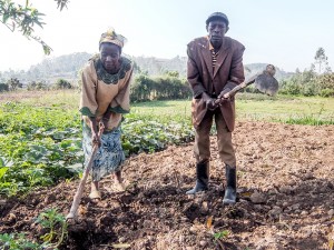 In a System of Polygamy and Patriarchy, Ugandan Women Find Power in Lending Practices That Require Their Approval