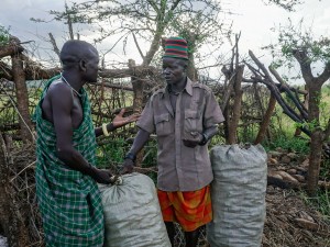 Illegal Charcoal Burning Offers Income to People in Uganda’s Karamoja Region