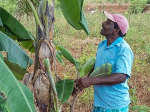 How Does a Community Profit From Plastic Waste? Ask Sri Lanka’s Entrepreneurs.