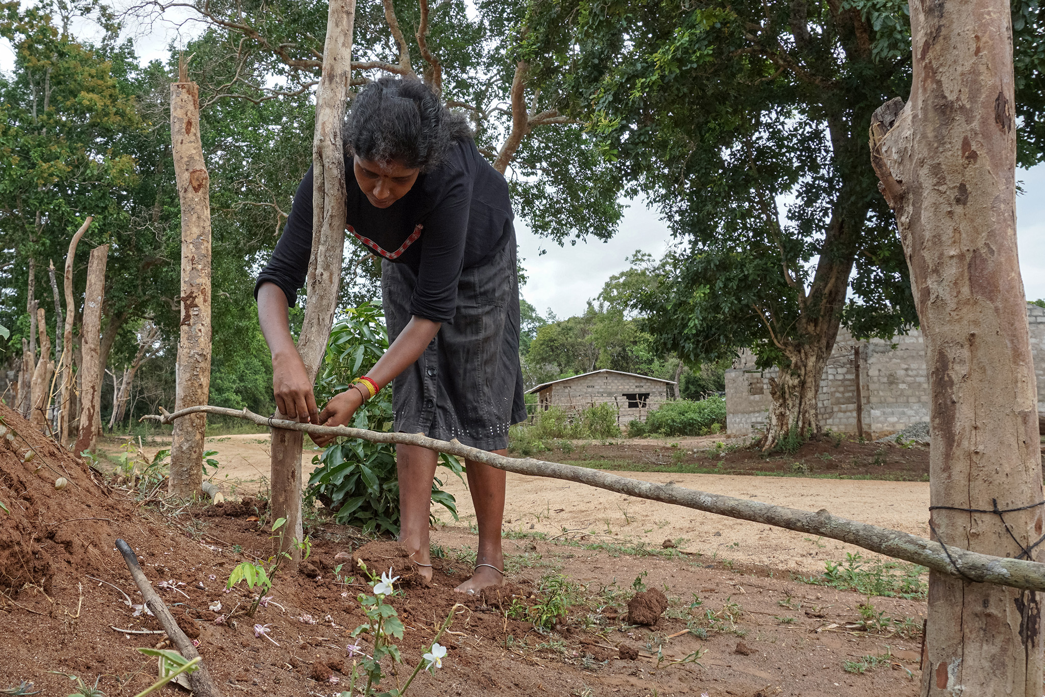 Tamil Returnees Fight to Reclaim Seized Land