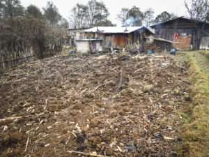 Facing Climate Change, Mexican Farmers Shed Old Methods, Adapt to Altered Rain Cycles