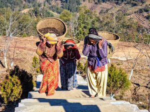 Apples to Almonds: Warmer Weather Means Growing Different Crops in Nepal